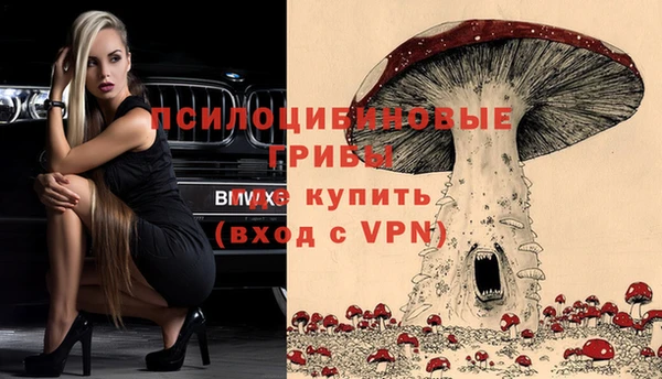 МДПВ Абдулино