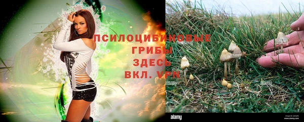 твердый Зерноград