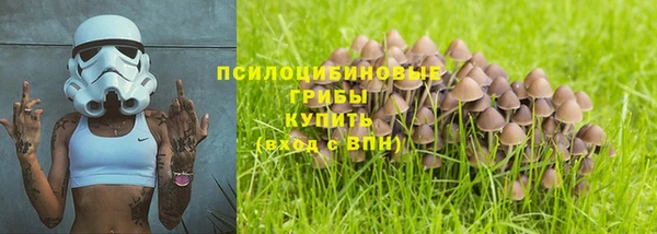 МДПВ Абдулино