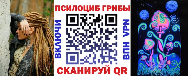 ОМГ ОМГ как зайти Гусиноозёрск Галлюциногенные грибы Psilocybe